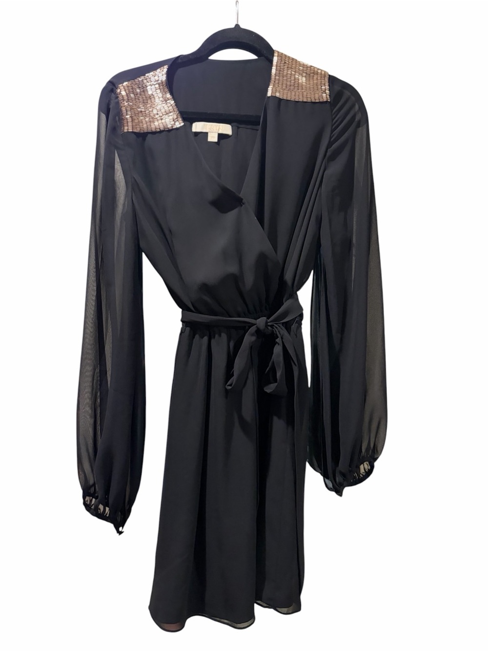 Erin Fetherston v neck long sleeve sheer tie waist dress